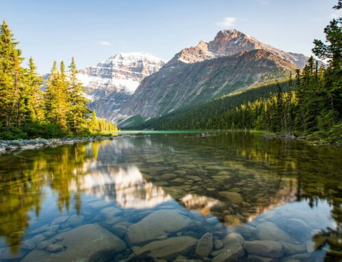 NAVIGATING NEW OPPORTUNITIES: ALBERTA’S TOURISM AND HOSPITALITY STREAM